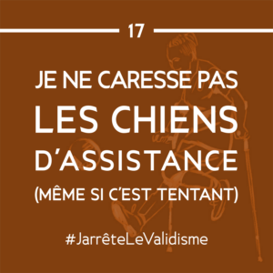 Bonne résolution n°17 : Je ne caresse pas les chiens d’assistance (même si c’est tentant !)